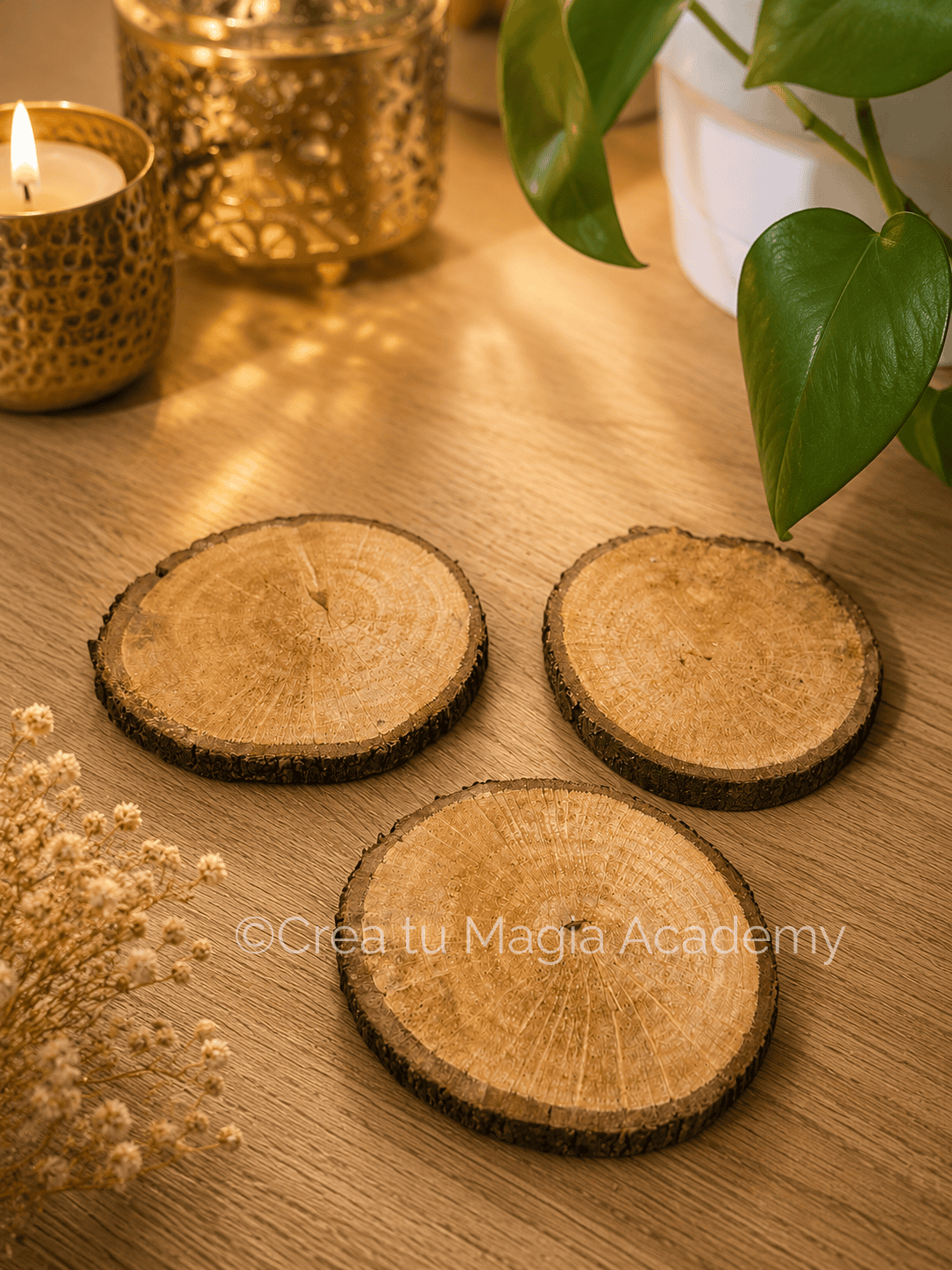 Madera para Talismán