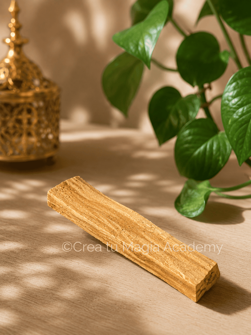 Palo Santo