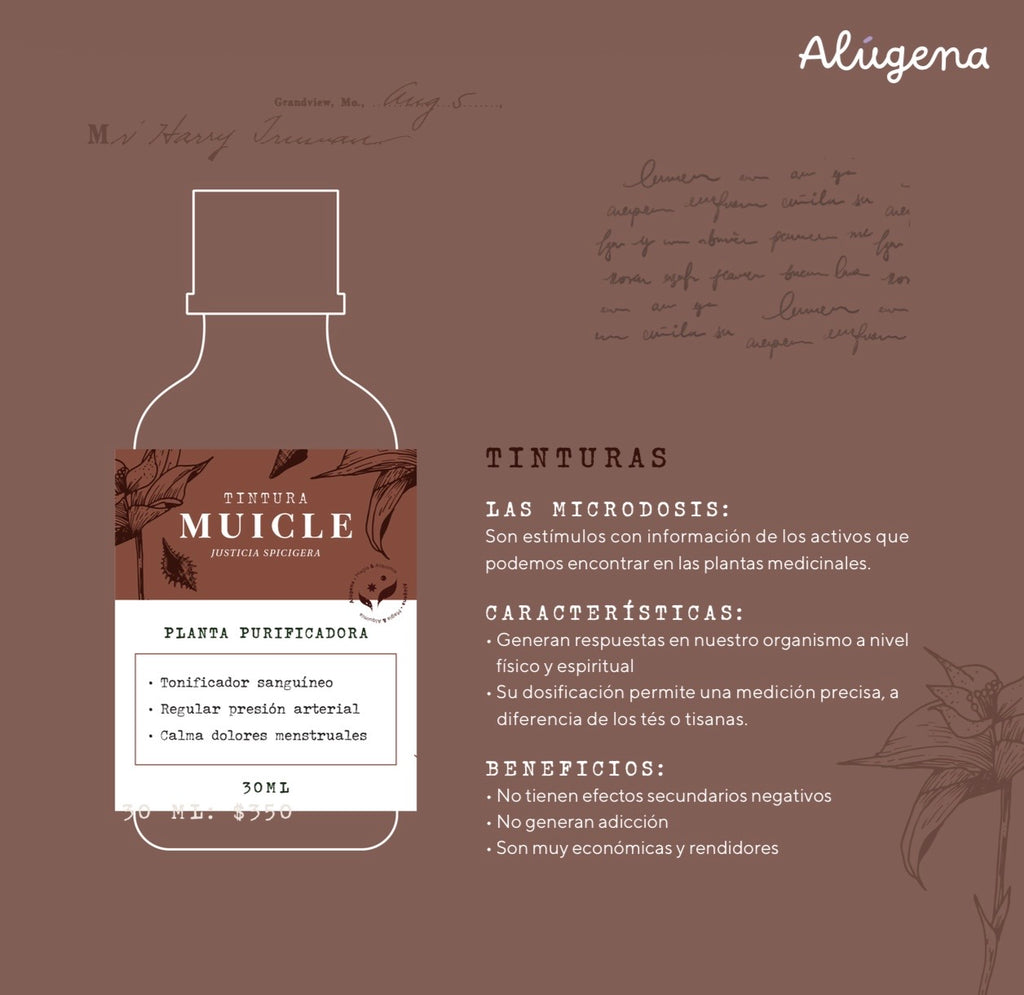 Tintura de Muicle