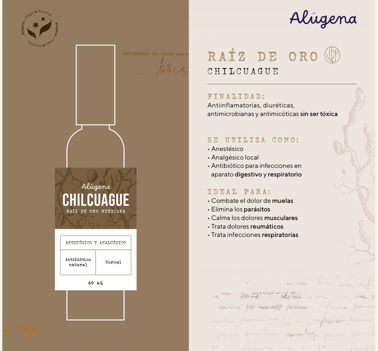 Chilcuague Raiz de Oro